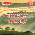 ve-may-bay-di-da-lat-gia-re-tai-pnr