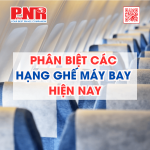 phan-biet-cac-hang-ghe-may-bay-hien-nay
