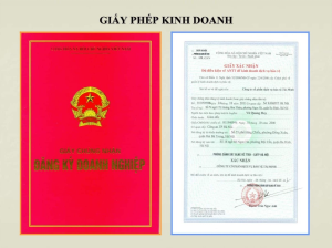 Cung cấp giấy phép kinh doanh để hoàn thành thủ tục đăng ký