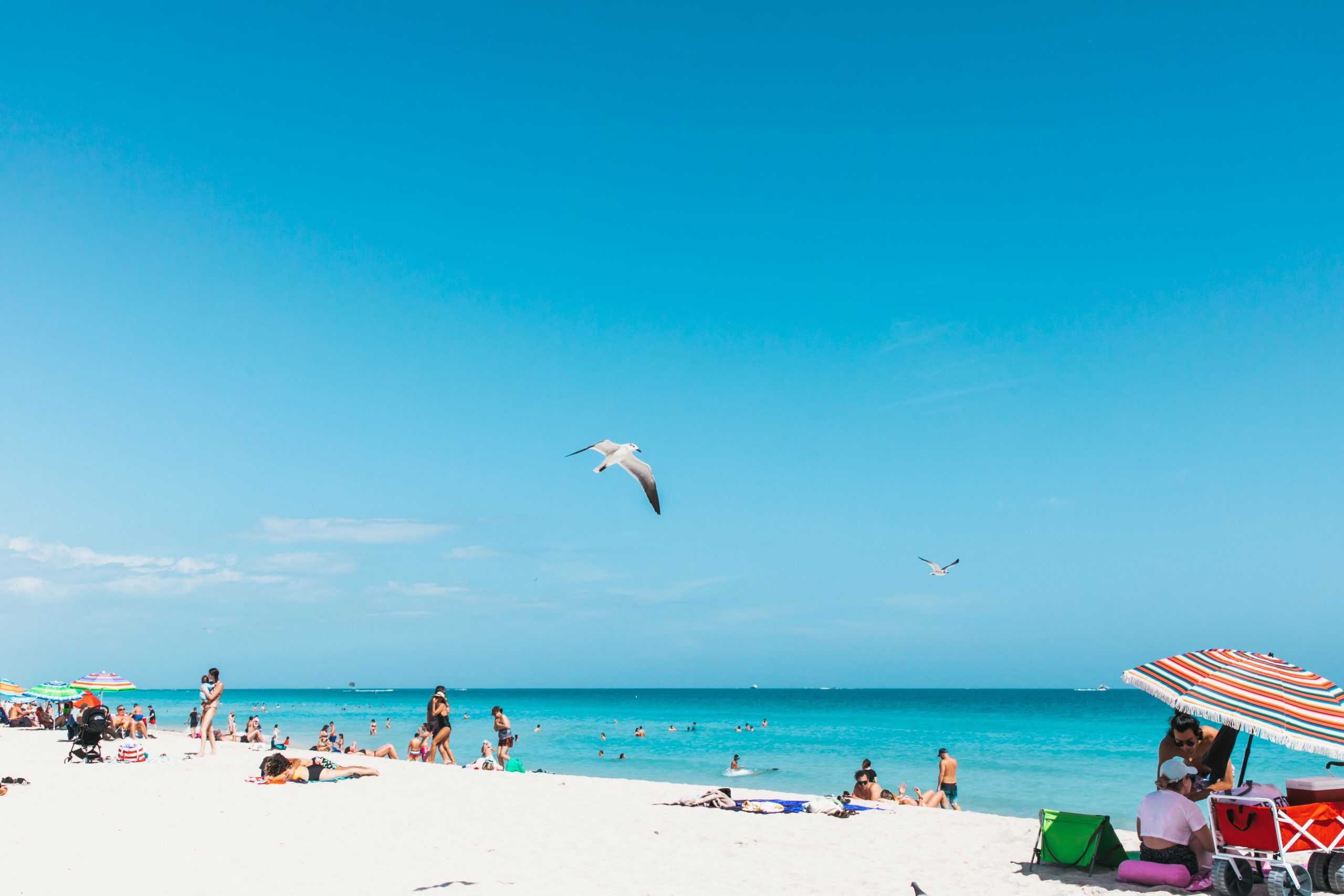miami