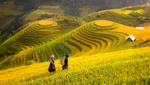 Du lịch Sapa mùa hè là sự lựa chọn lý tưởng để giải nhiệt
