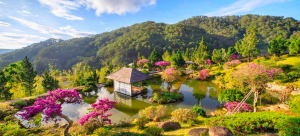 Đà Lạt mùa hè là điểm hẹn lãng mạn cho những tâm hồn mơ mộng