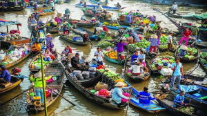 Về miền Tây mùa hè để tự tay hái quả và thưởng thức đặc sản ngay tại vườn