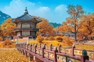 Hàn Quốc mùa hè mở ra một không gian thiên nhiên xanh mướt, đầy sức sống